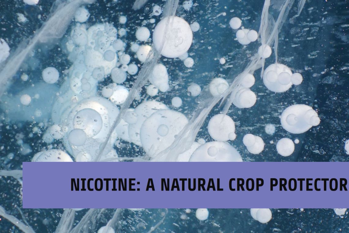 Nicotine in Agriculture