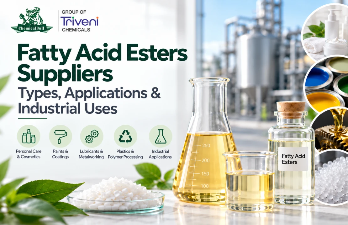 Fatty Acid Esters Suppliers | Types, Applications & Industrial Uses