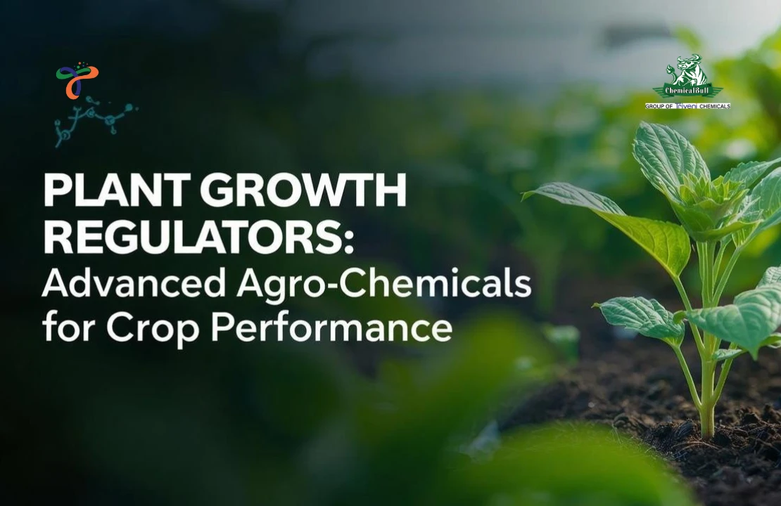 Plant Growth Regulators: Advanced Agro Chemicals For Crop Performance