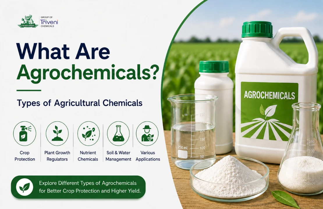 What Are Agrochemicals? Types of Agricultural Chemicals