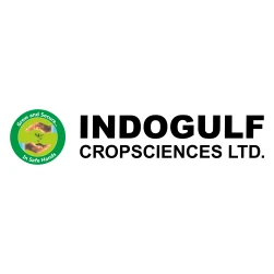 Indigo Gulg