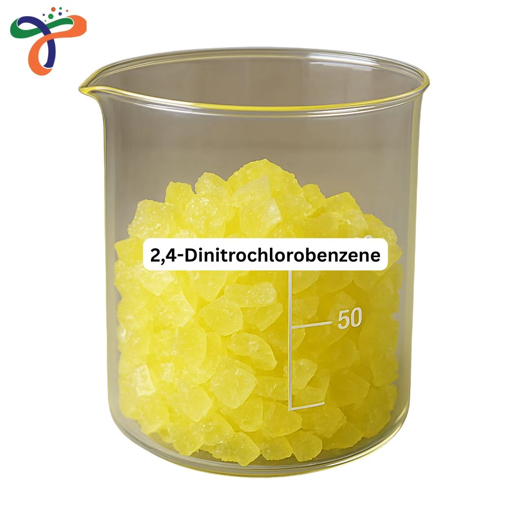 2,4-Dinitrochlorobenzene