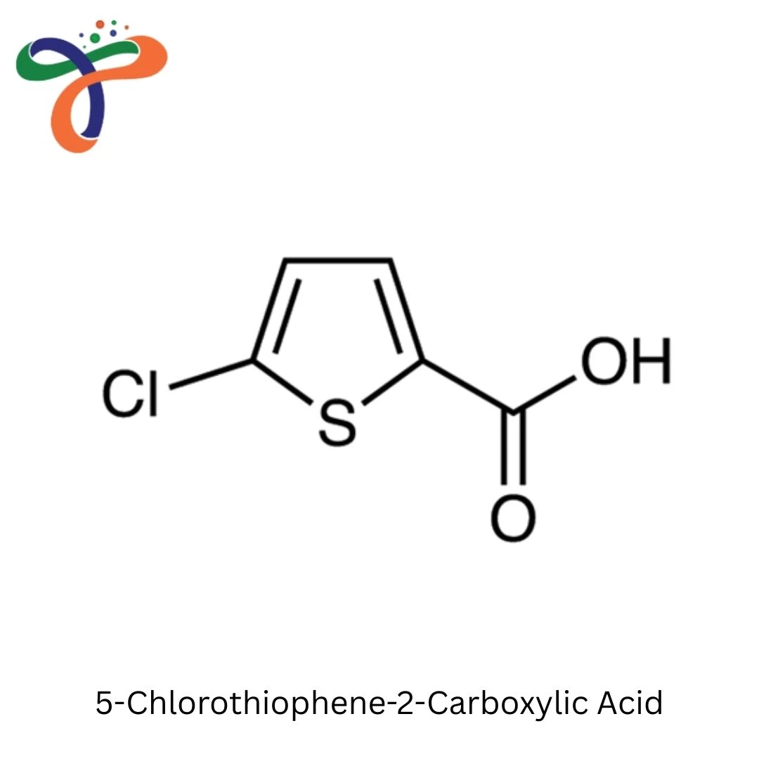 5-Chlorothiophene-2-Carboxylic Acid