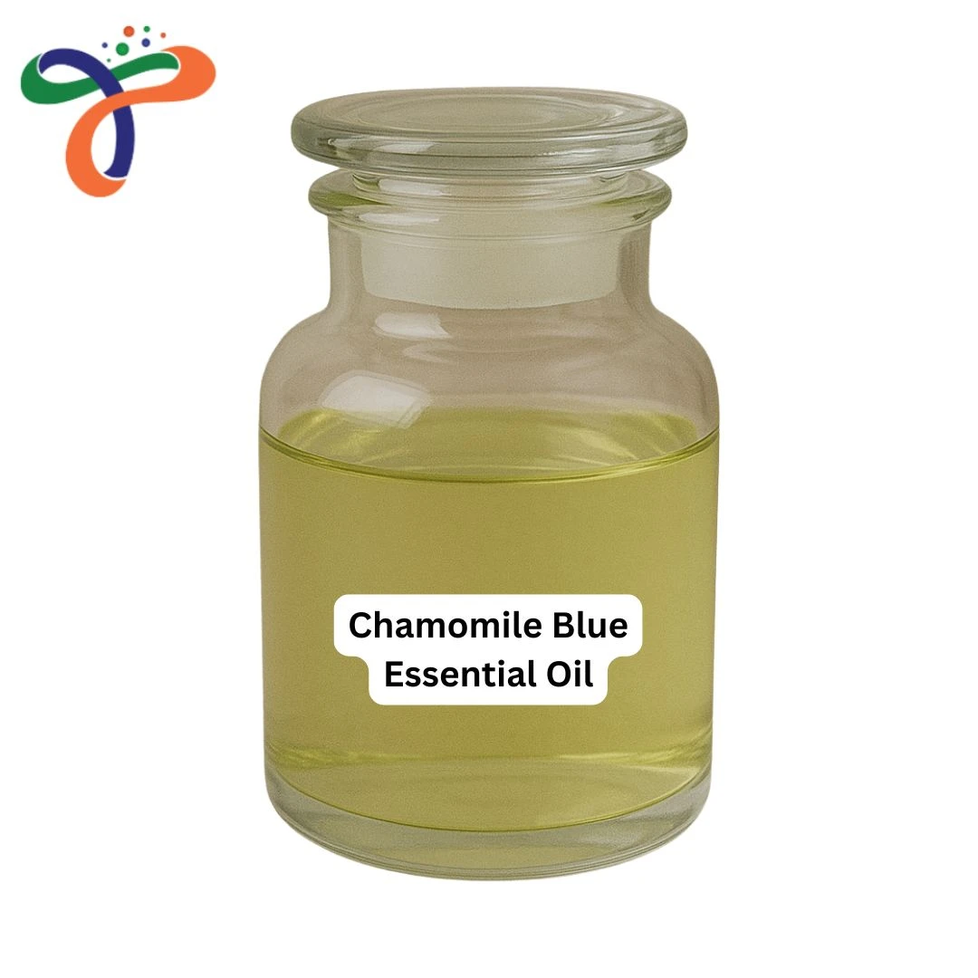 Chamomile Blue Essential Oil