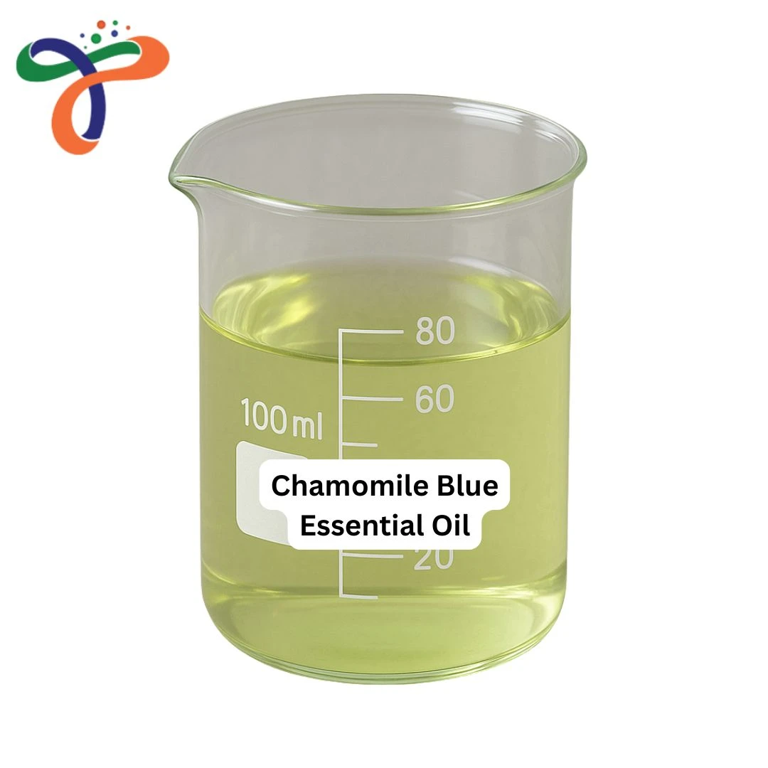 Chamomile Blue Essential Oil