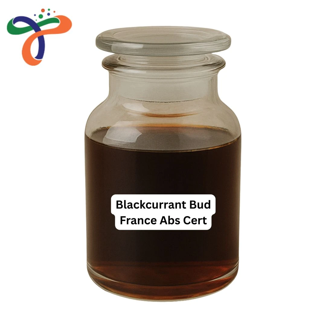 Blackcurrant Bud France Abs Cert