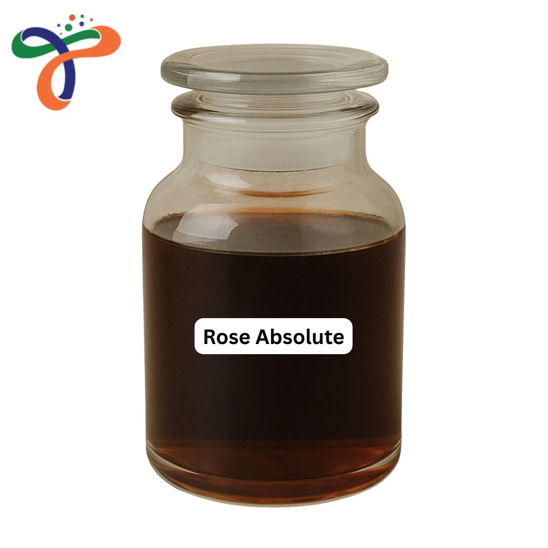 Rose Absolute