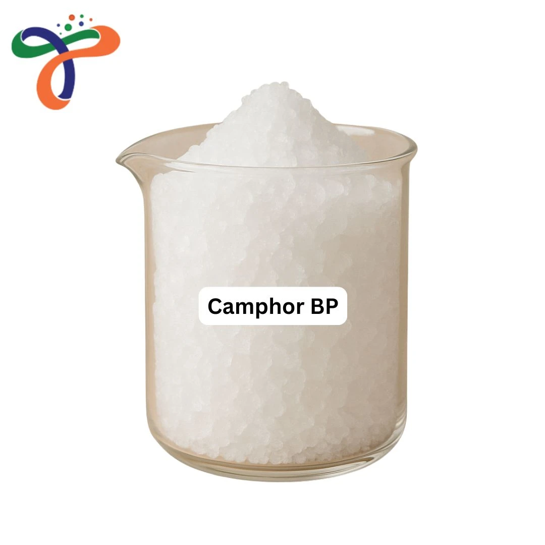 Camphor Bp