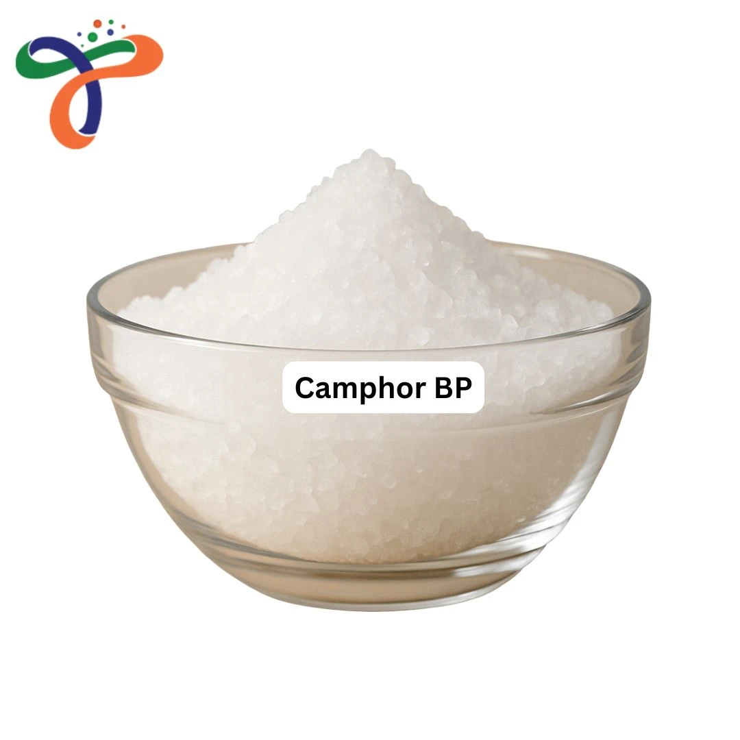 Camphor Bp
