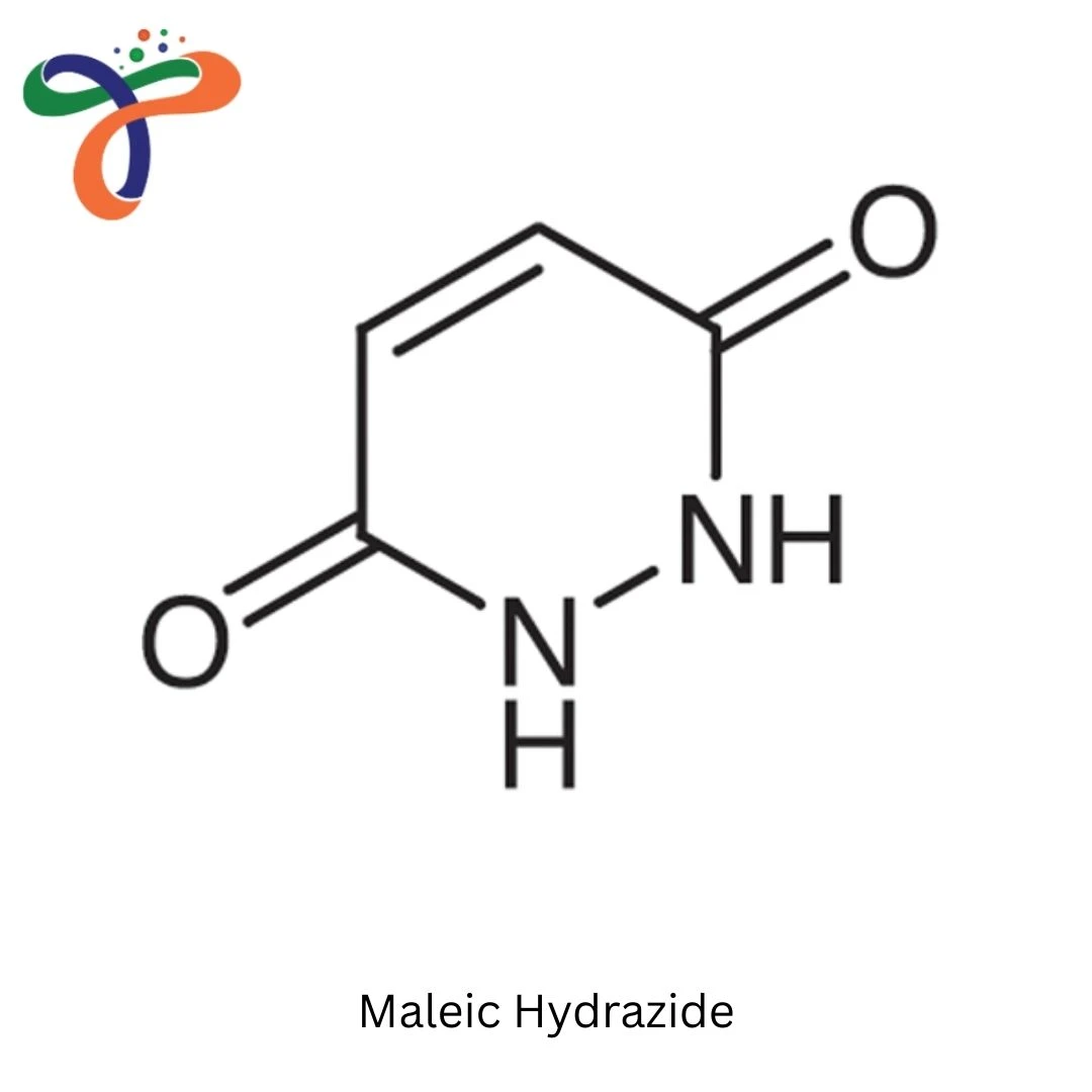 Maleic Hydrazide