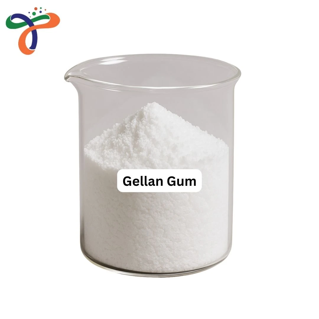 Gellan Gum