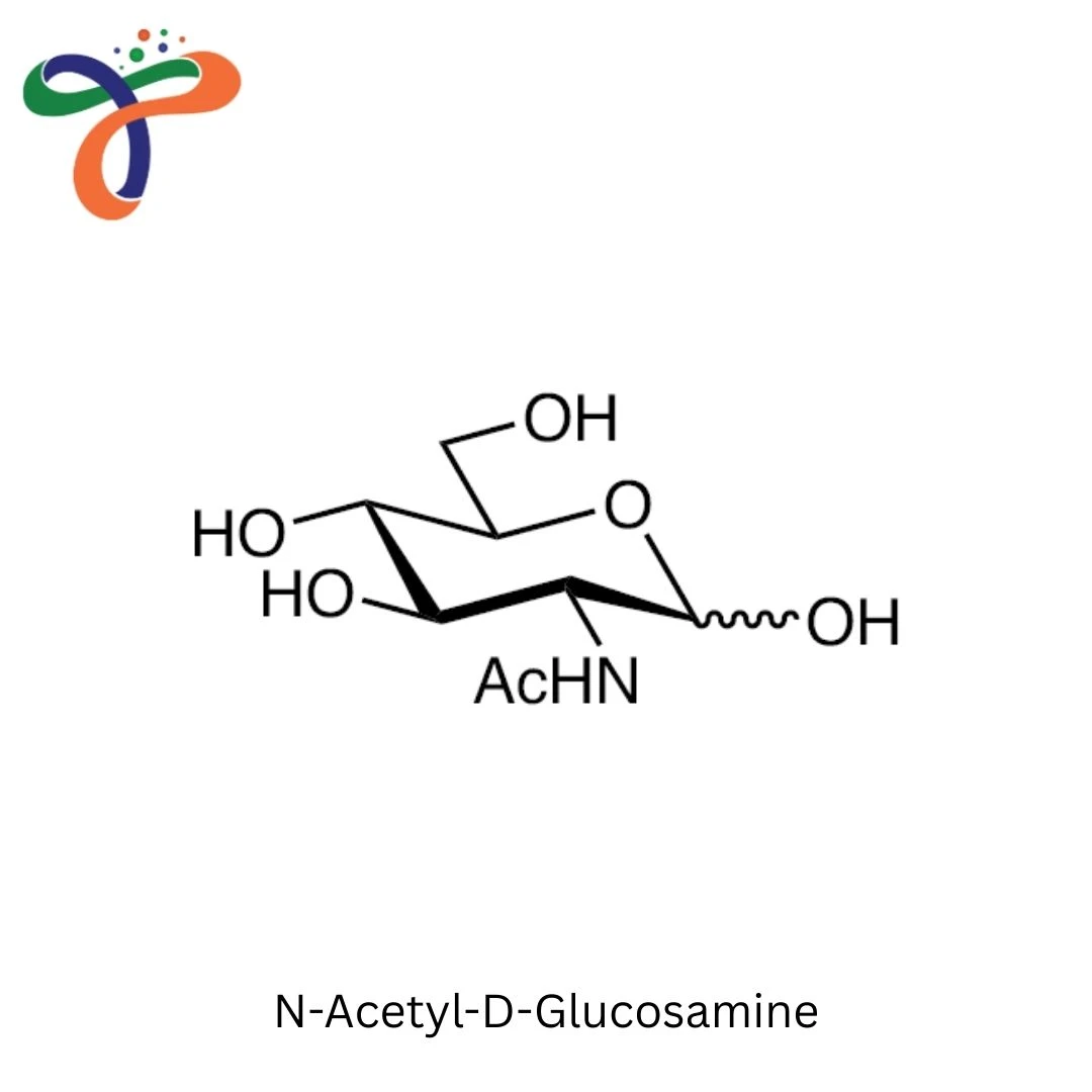 N-Acetylglucosamine