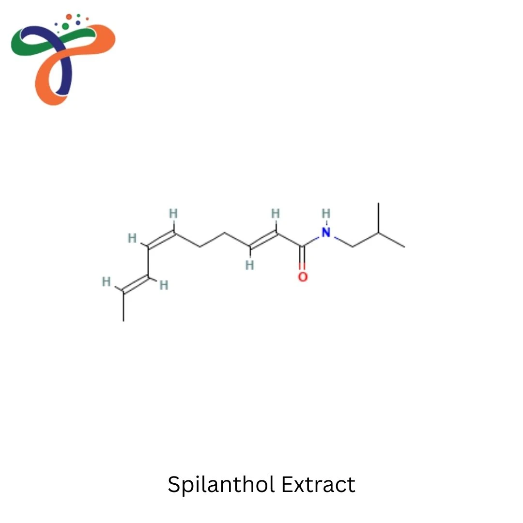 Spilanthol Extract
