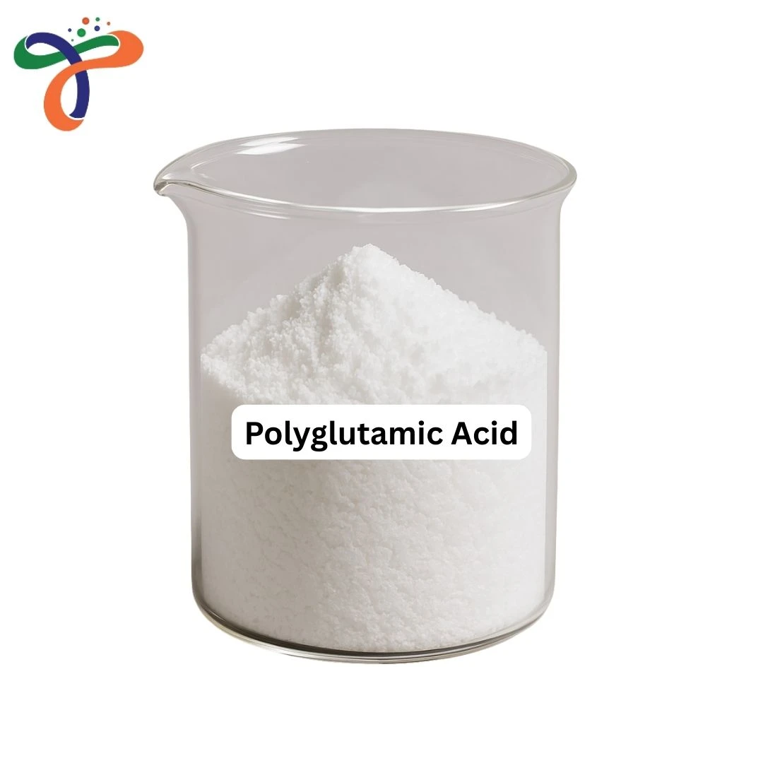 Polyglutamic Acid