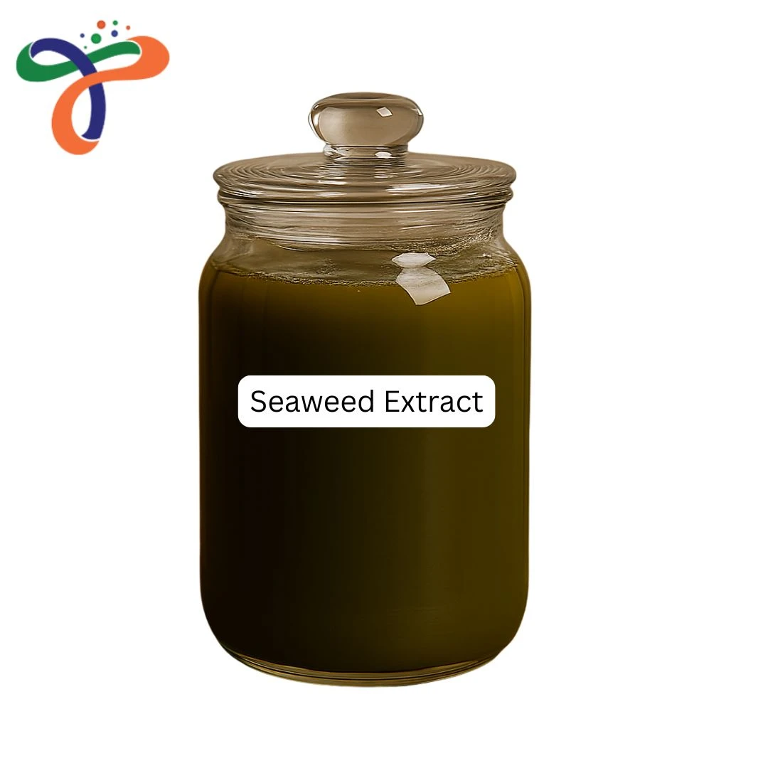 Seaweed Extract