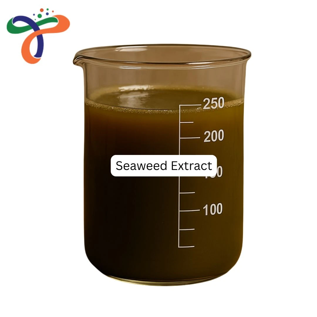 Seaweed Extract