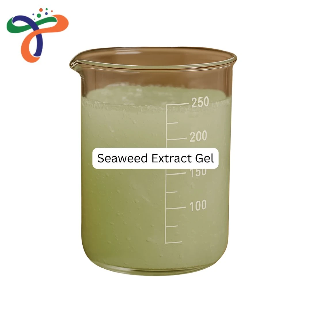 Seaweed Extract Gel