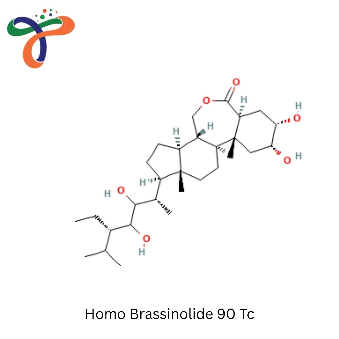 Homo Brassinolide 90 Tc