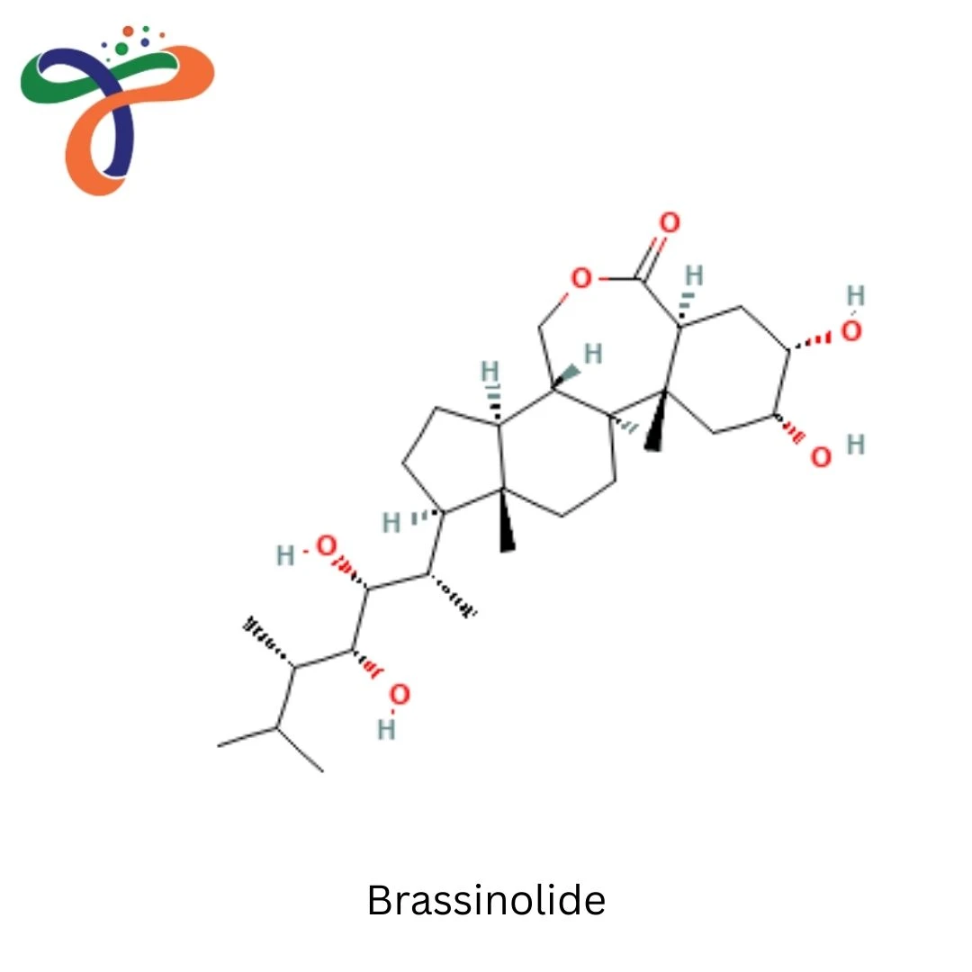 Brassinolide