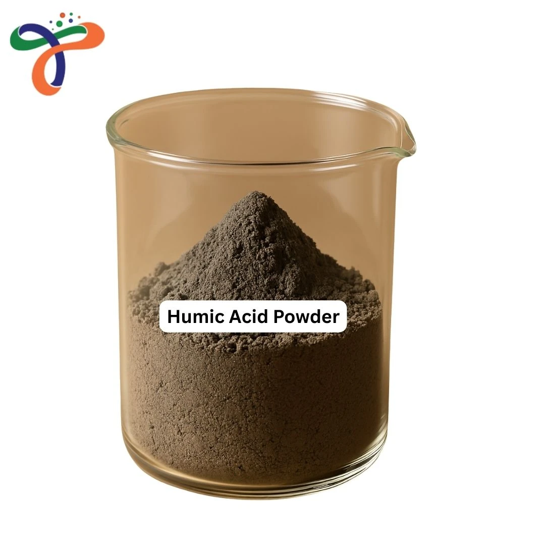 Humic Acid Powder