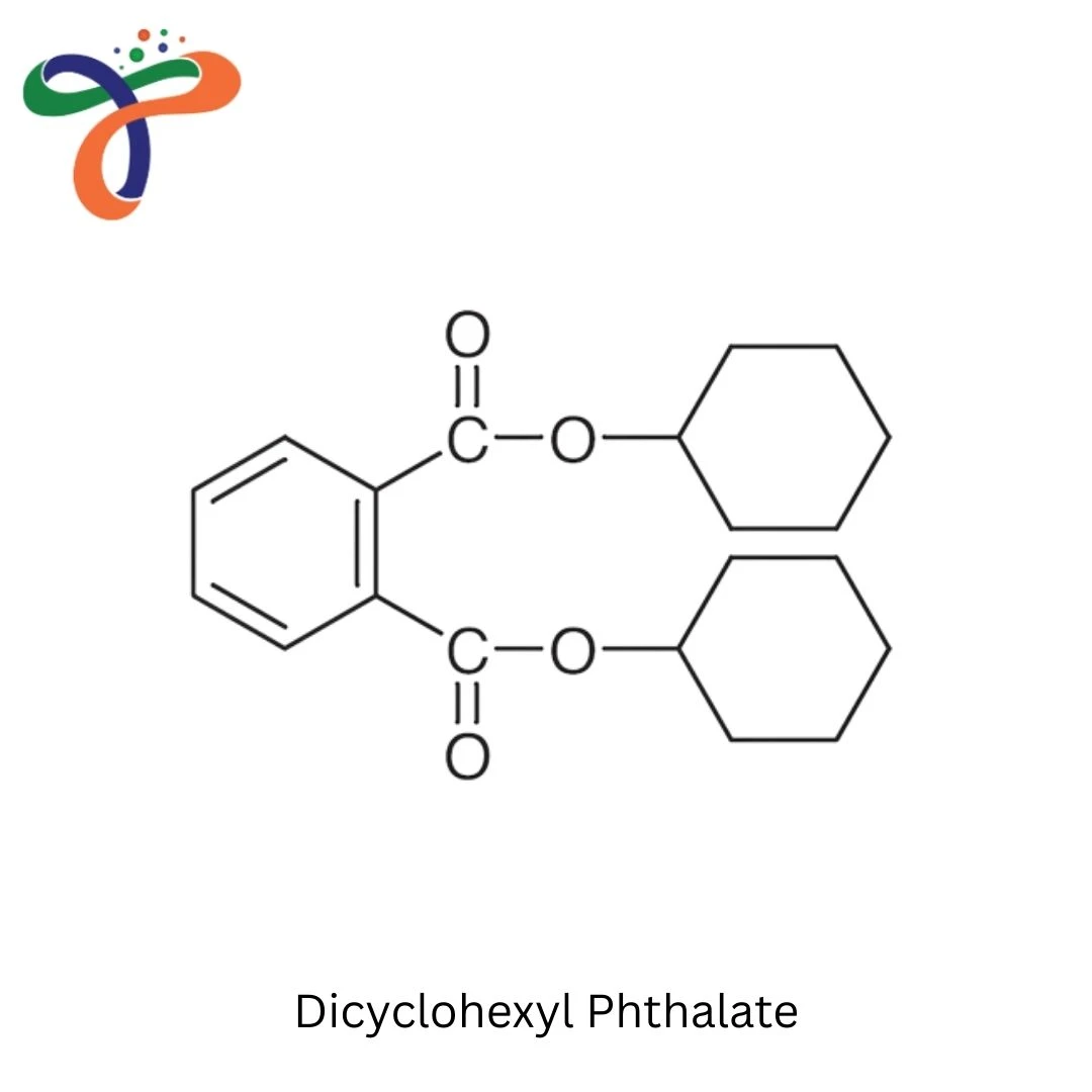 Dicyclohexyl Phthalate