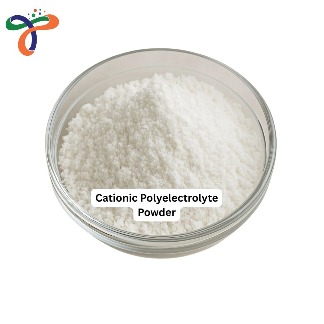 Cationic Polyelectrolyte Powder