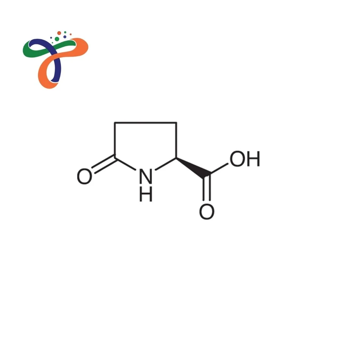 L-Pyroglutamic Acid