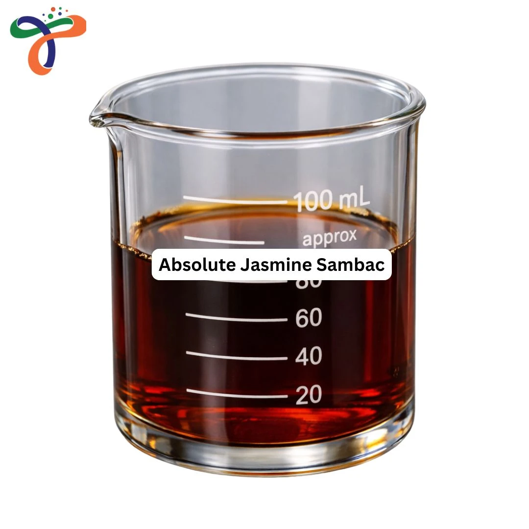 Absolute Jasmine Sambac