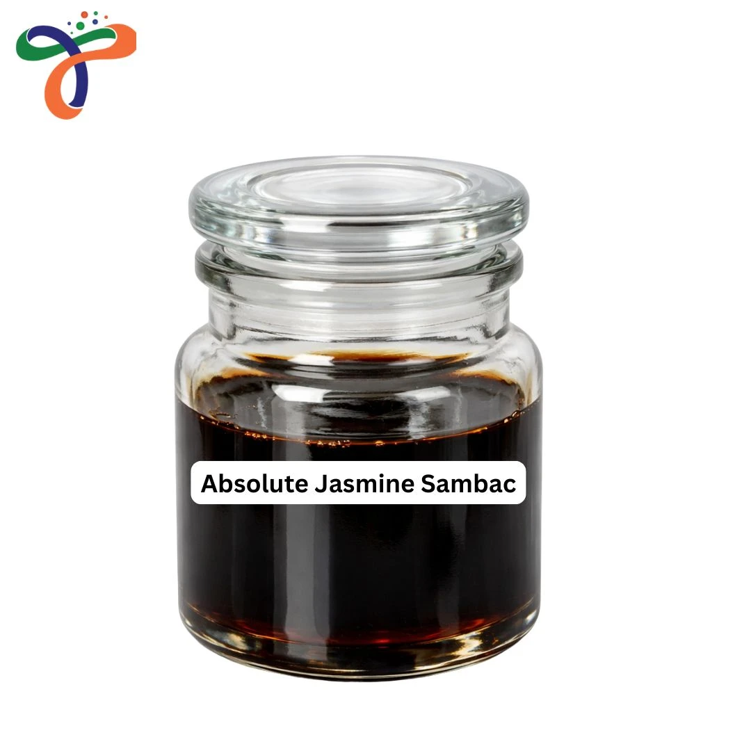 Absolute Jasmine Sambac