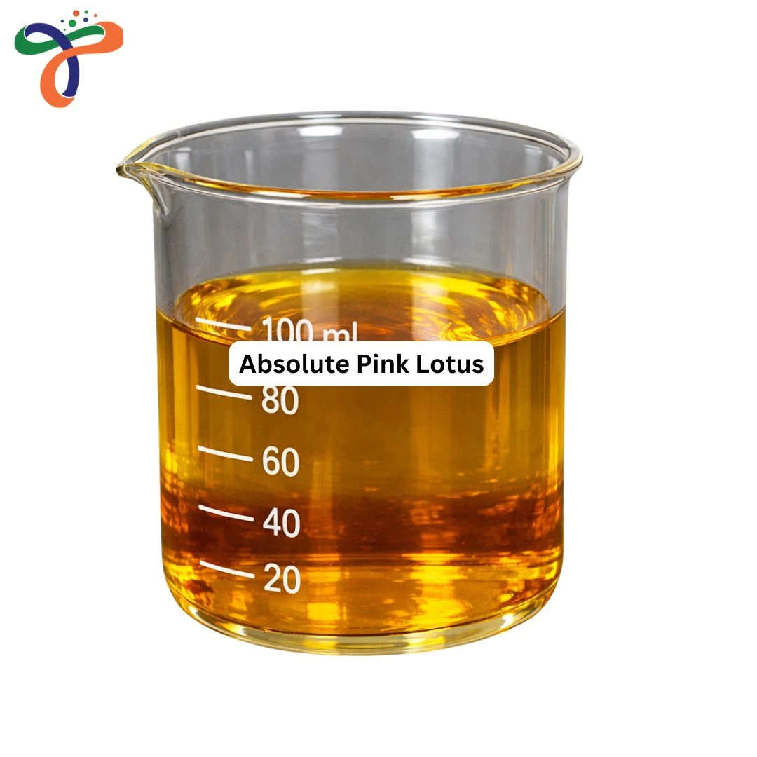 Absolute Pink Lotus