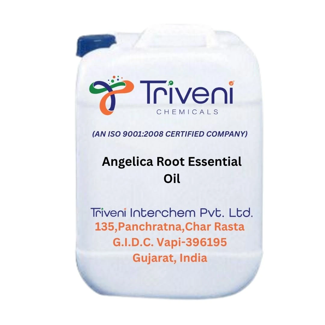 Angelica Root Essential Oil