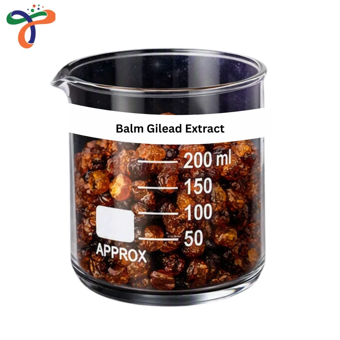 Balm Gilead Extract