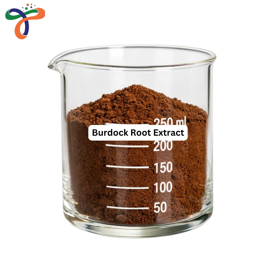 Burdock Root Extract