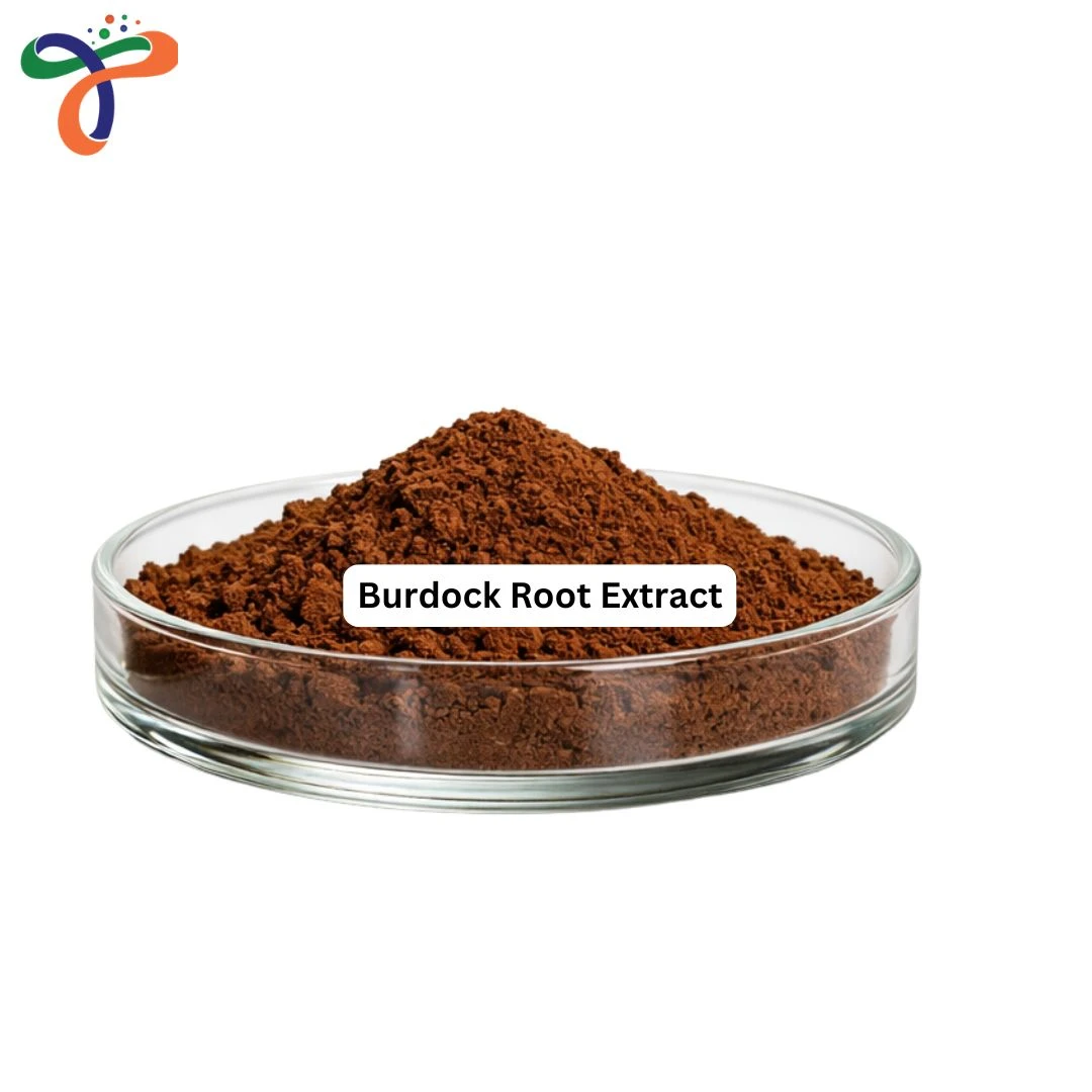 Burdock Root Extract