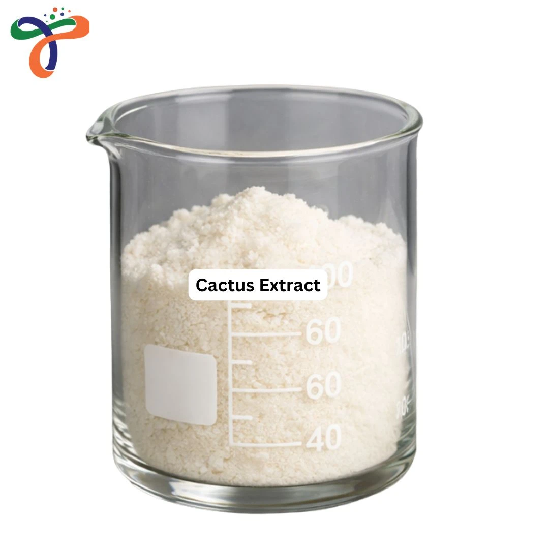 Cactus Extract