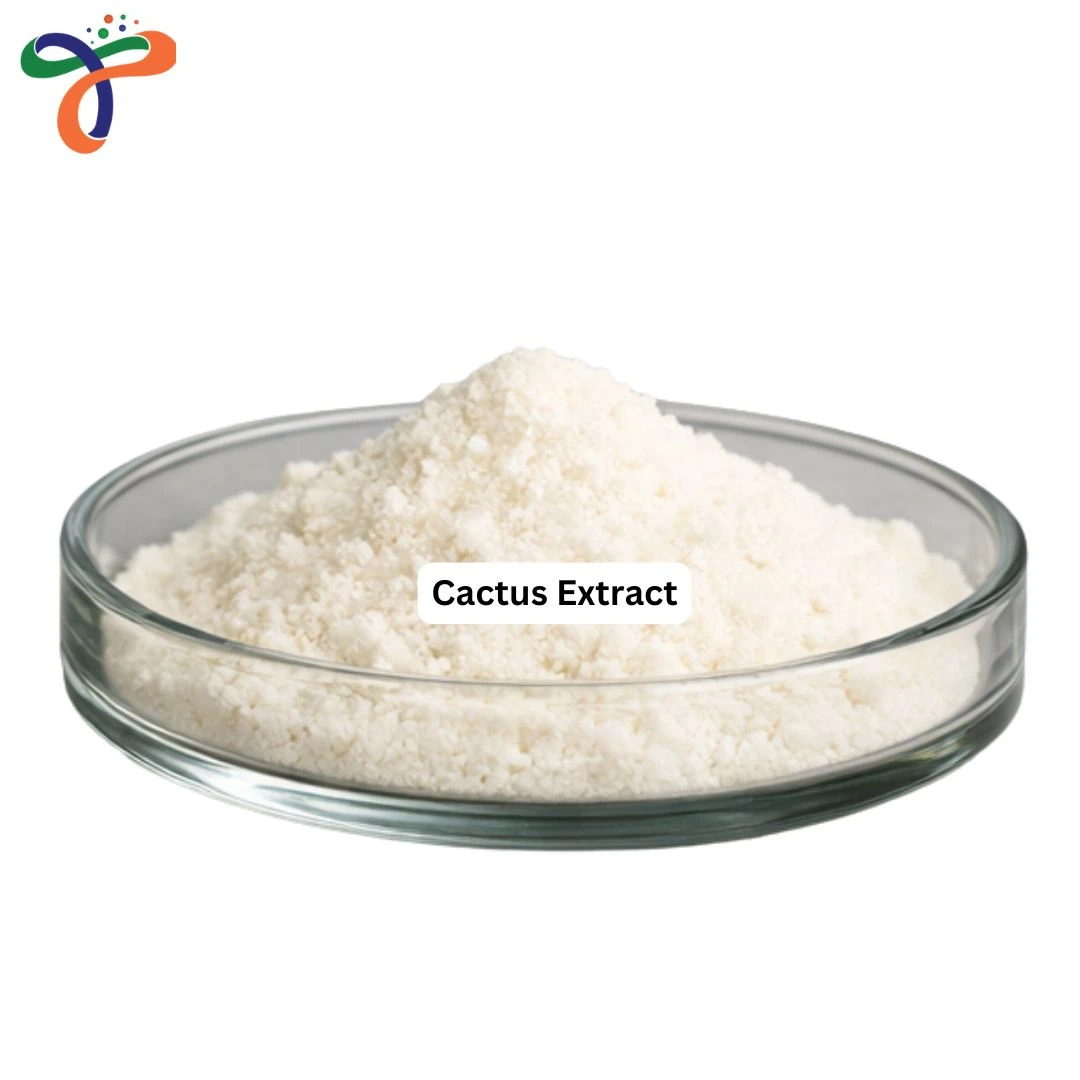 Cactus Extract