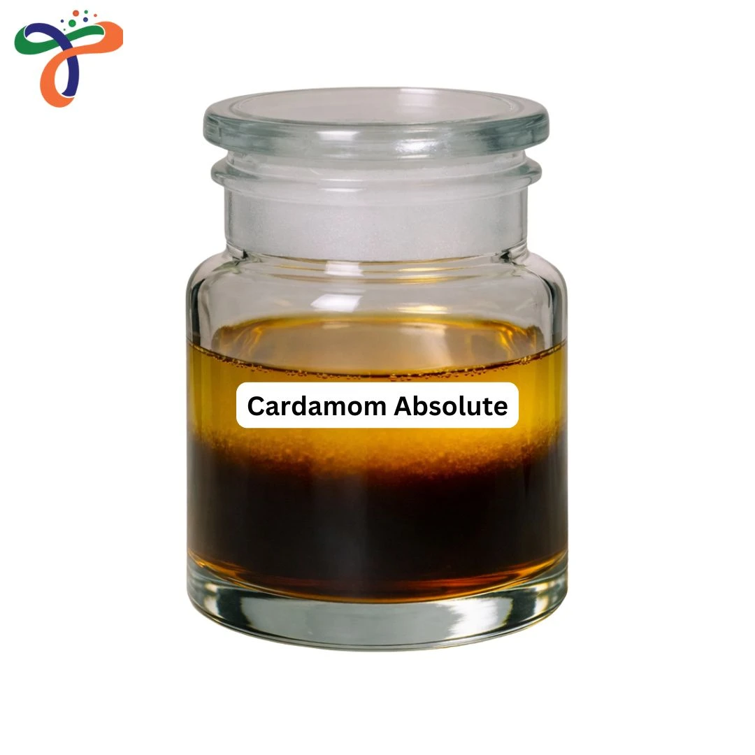 Cardamom Absolute