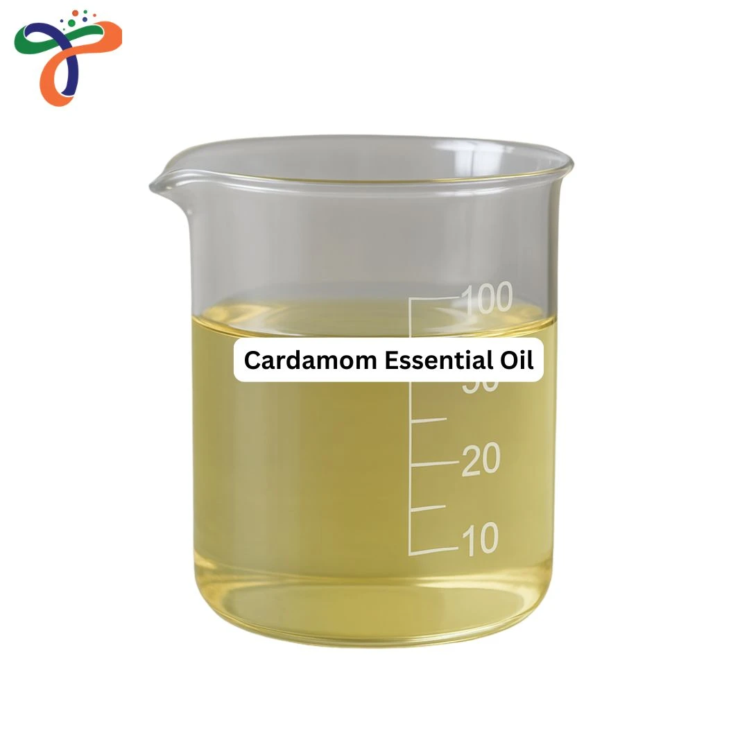 Cardamom Essential Oil