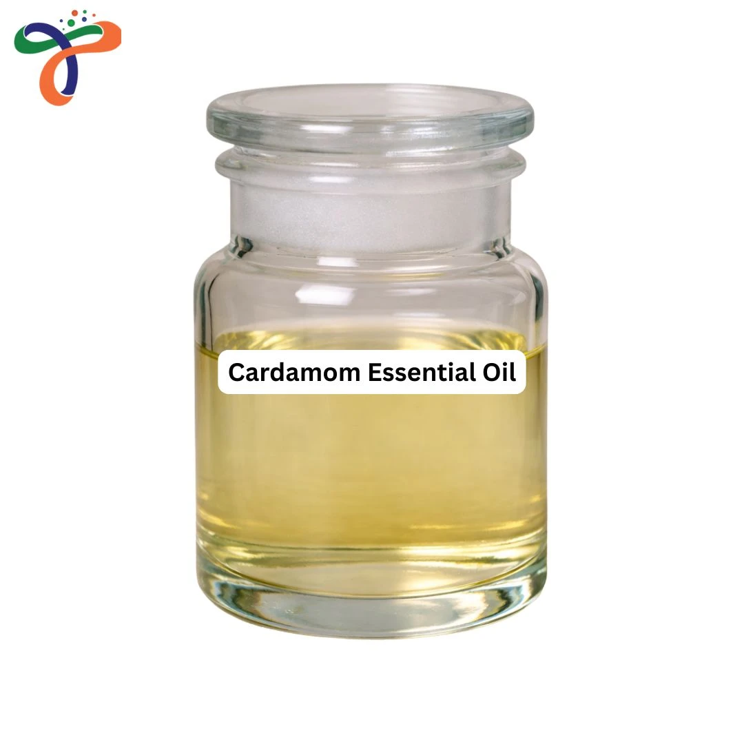 Cardamom Essential Oil