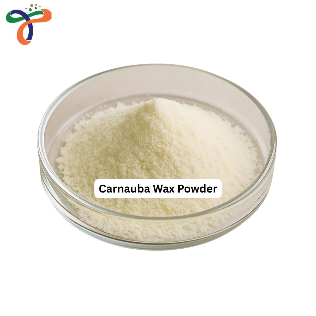 Carnauba Wax Powder
