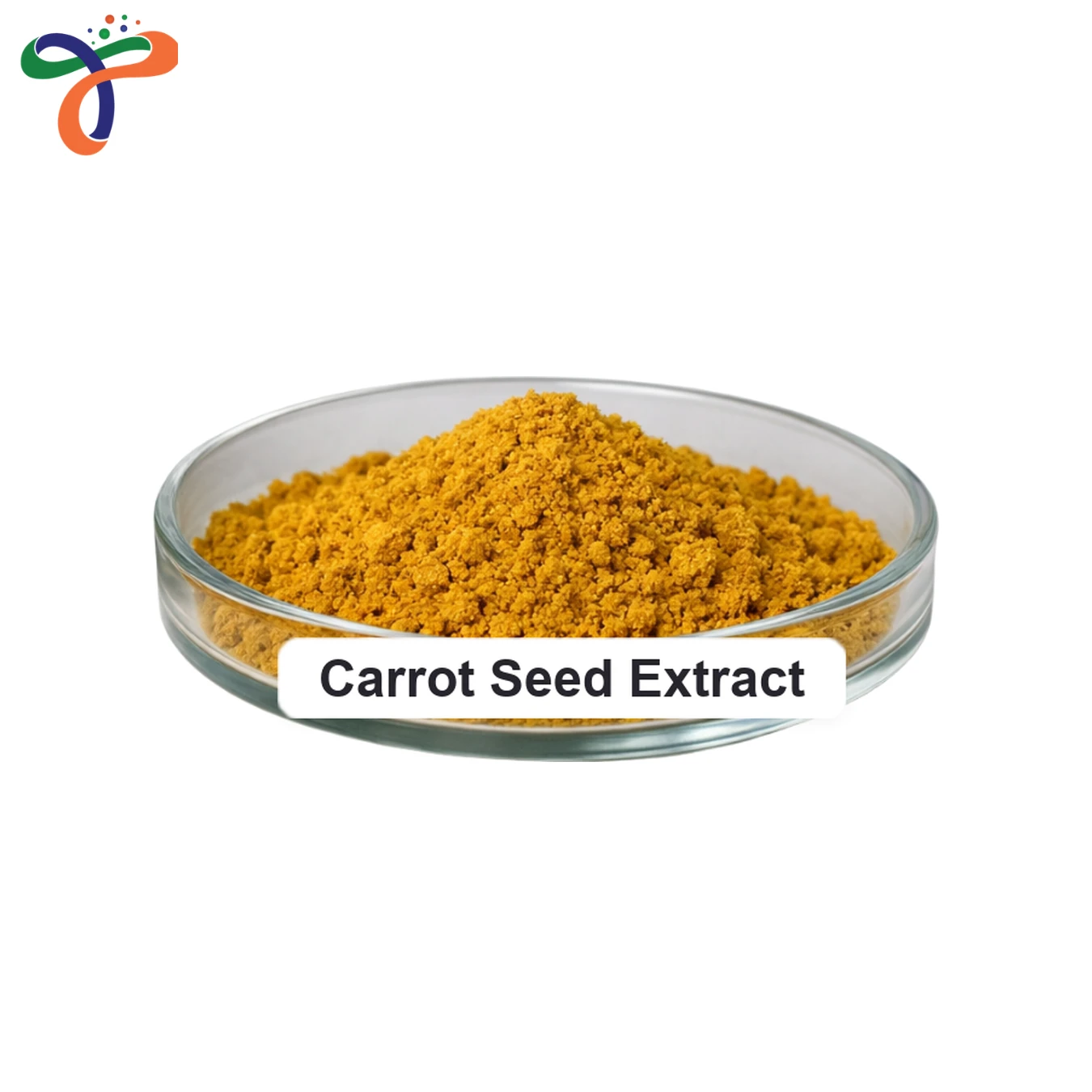 Carrot Seed Extract