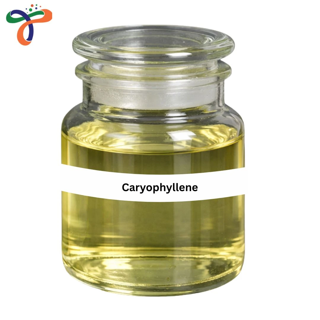 Caryophyllene