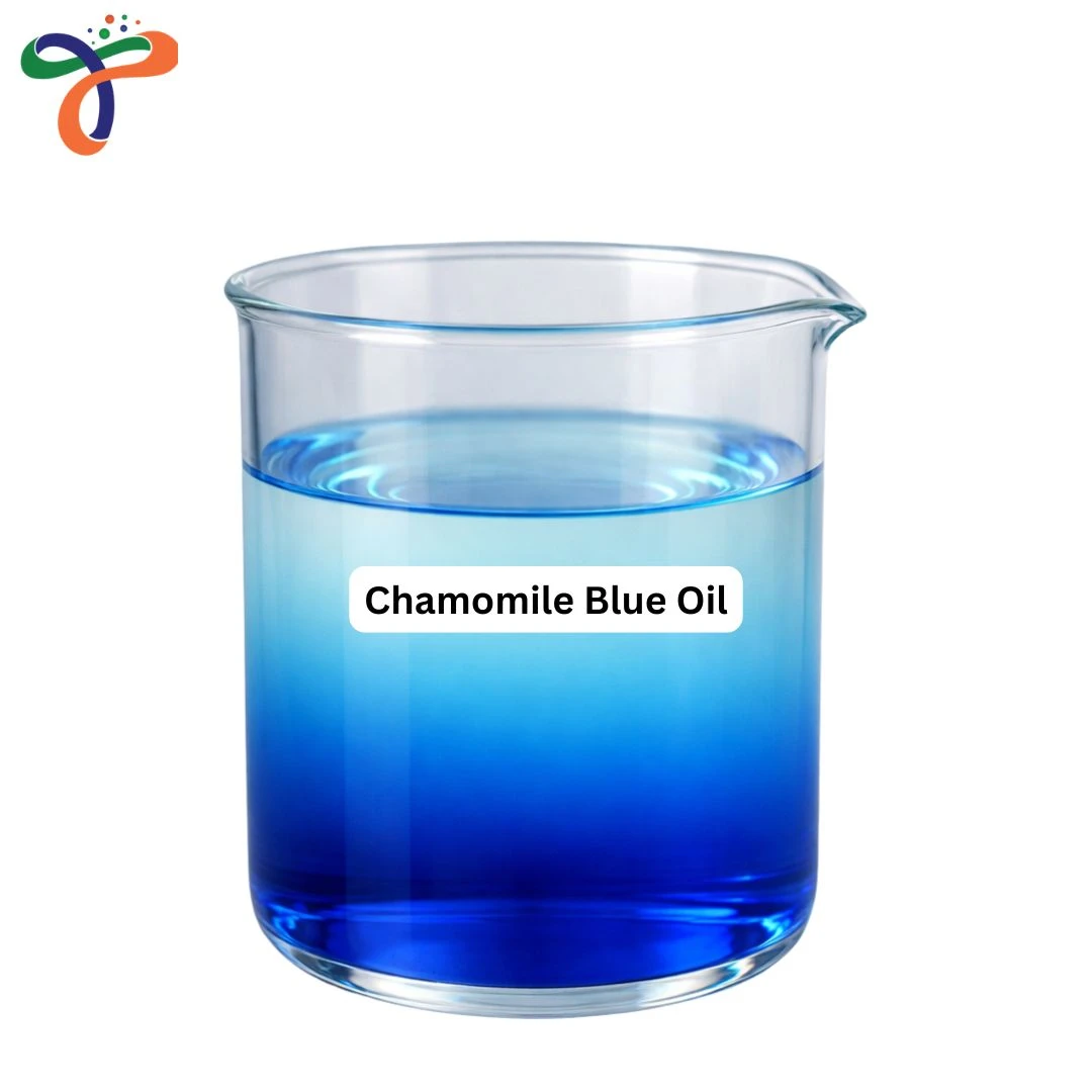 Chamomile Blue Oil