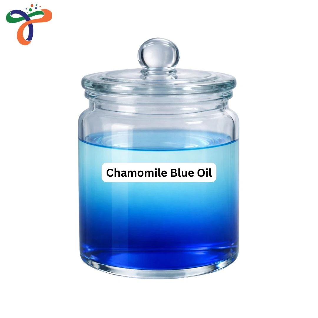 Chamomile Blue Oil