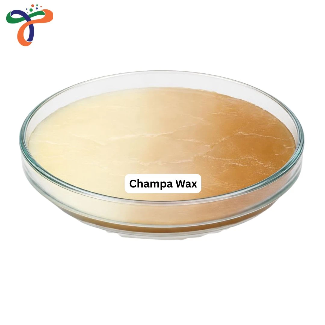 Champa Wax