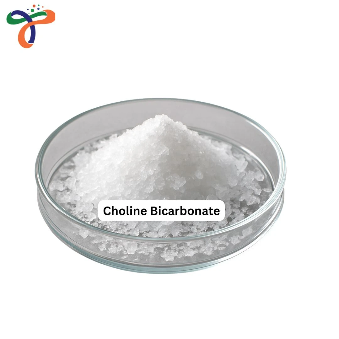 Choline Bicarbonate