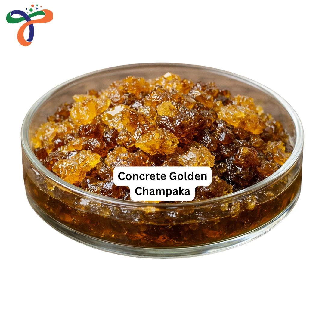 Concrete Golden Champaka