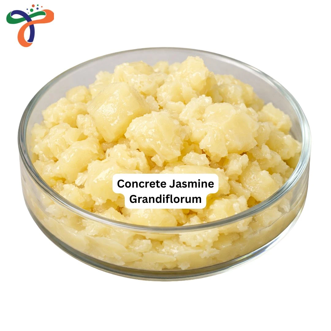 Concrete Jasmine Grandiflorum