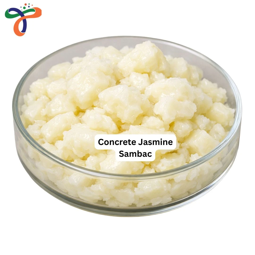Concrete Jasmine Sambac