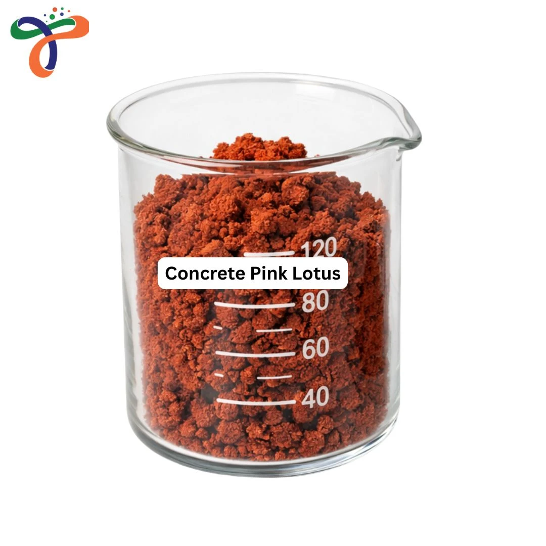 Concrete Pink Lotus